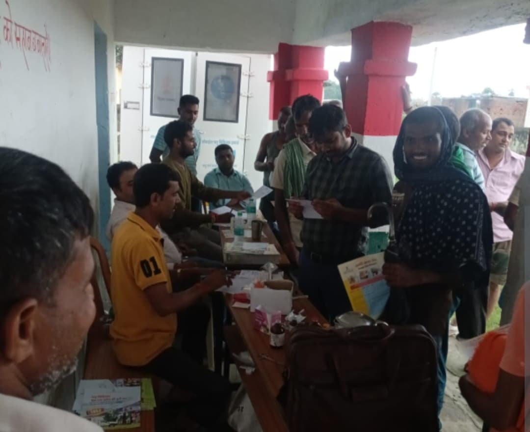 शिविर में 100 जानवरों का हुआ इलाज