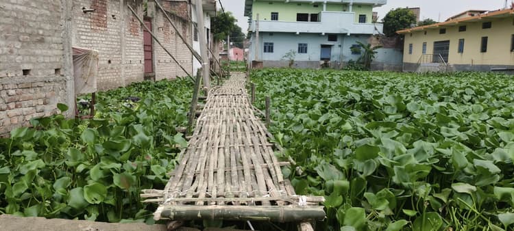 झमाझम बारिश से शहर में जलजमाव, लोगों की बढ़ी परेशानी