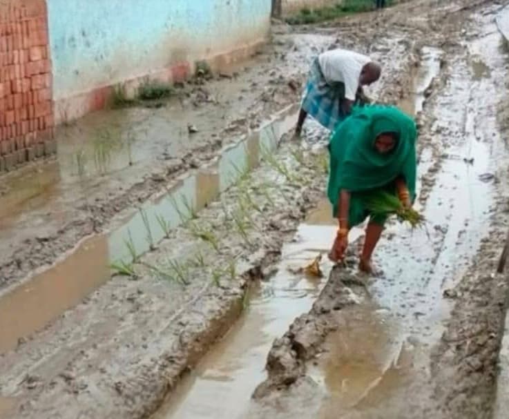 Motihari: मोहम्मदपुर गांव के लोगों ने सड़क पर की धानरोपनी