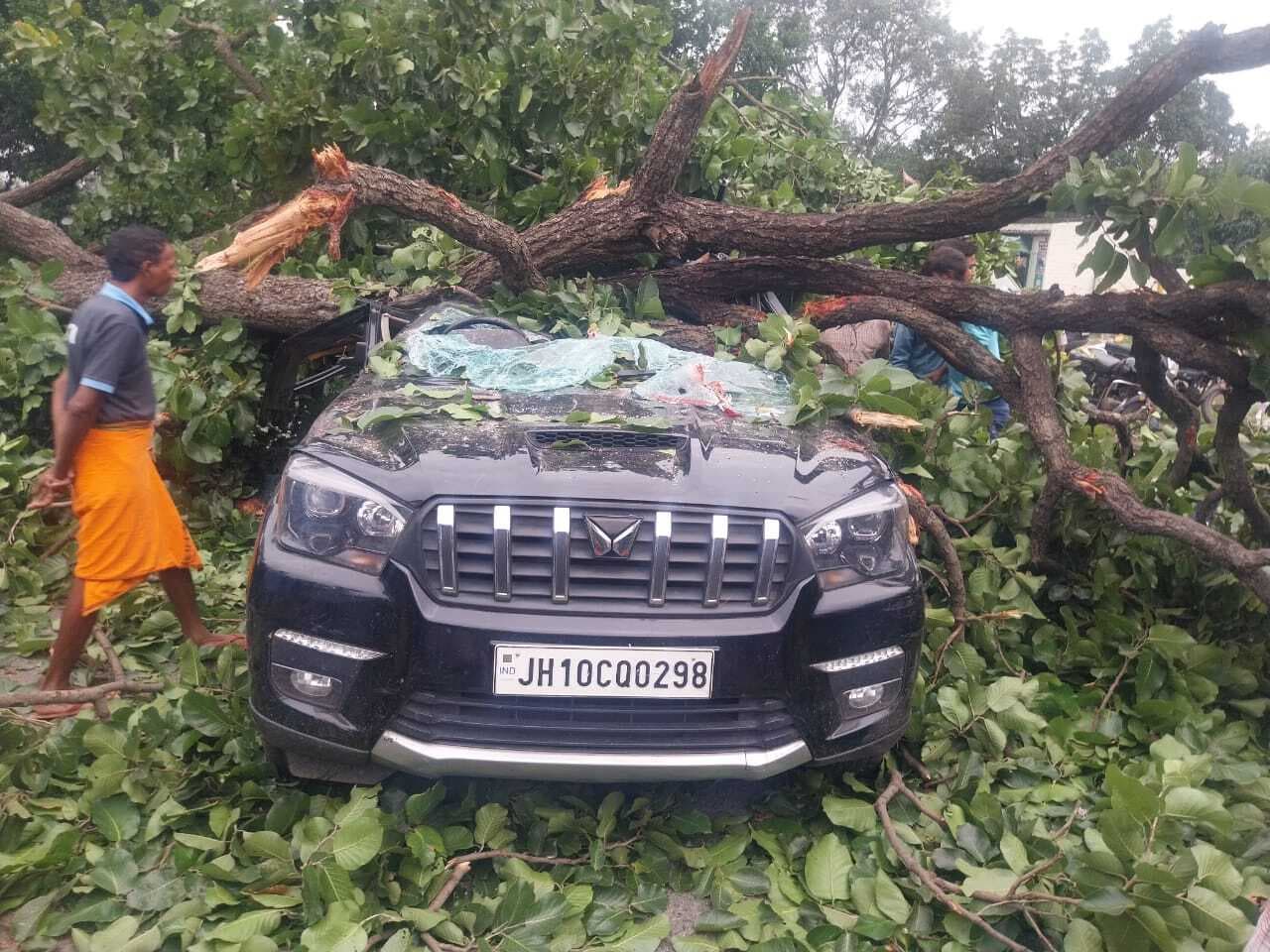 Bokaro News : एसयूवी पर गिरा पेड़, चालक घायल