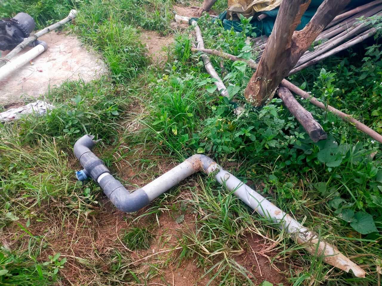 Bokaro News : हाथियों ने फसल रौंदी, ड्रिप सिस्टम तोड़ा