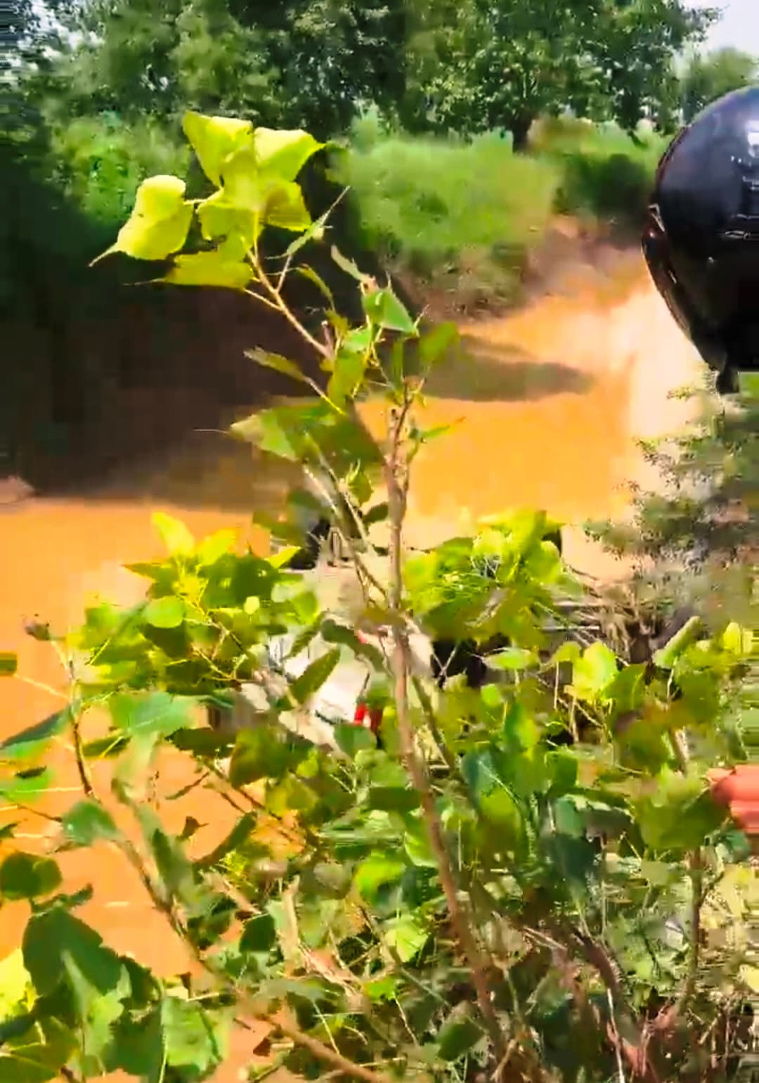 नहर में गिरी स्कॉर्पियो, तीन घायल