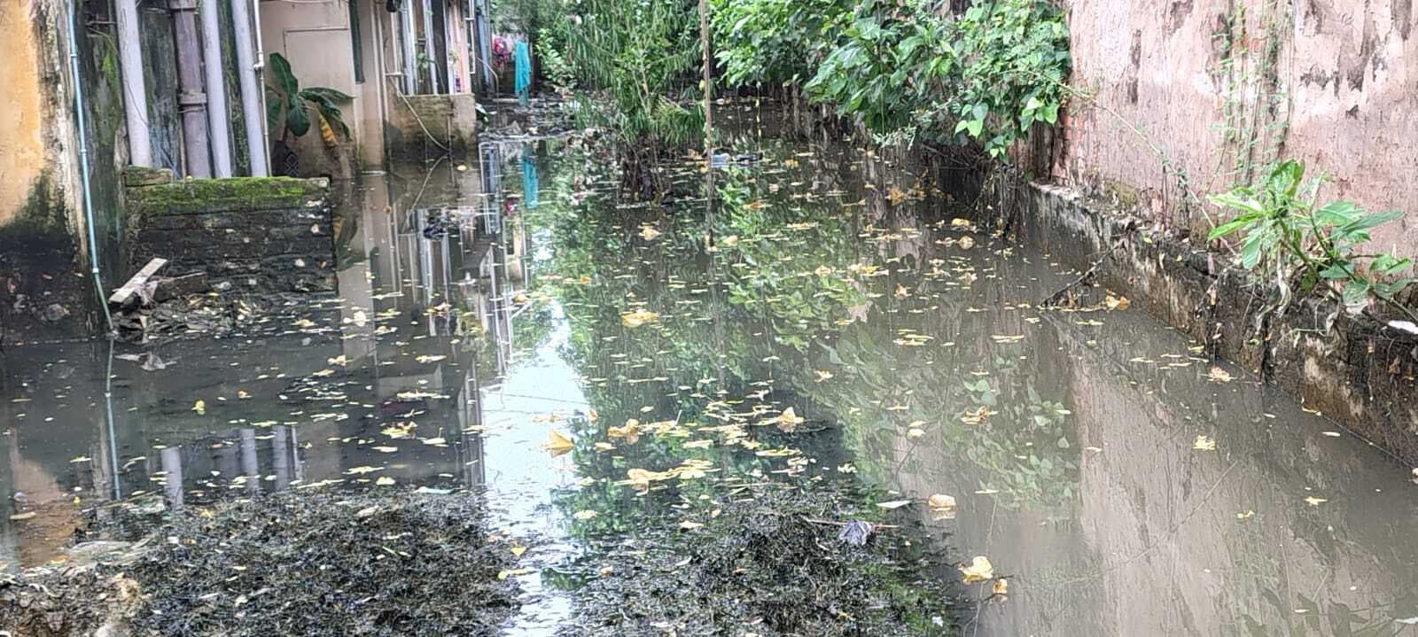 शहर के 11 वार्डाें व दियारा में उतरा गंगा का पानी, महामारी का बढ़ा खतरा