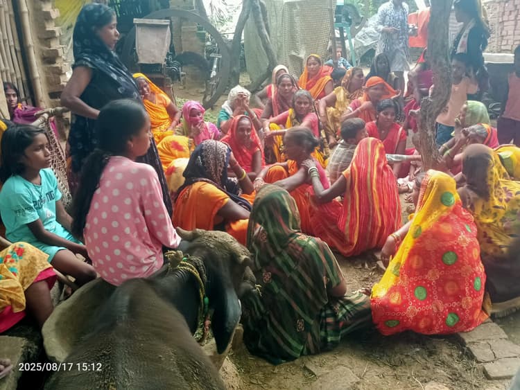 Kaimur News : दुर्गावती नदी में भैंस धोने के दौरान डूबने से महिला की मौत