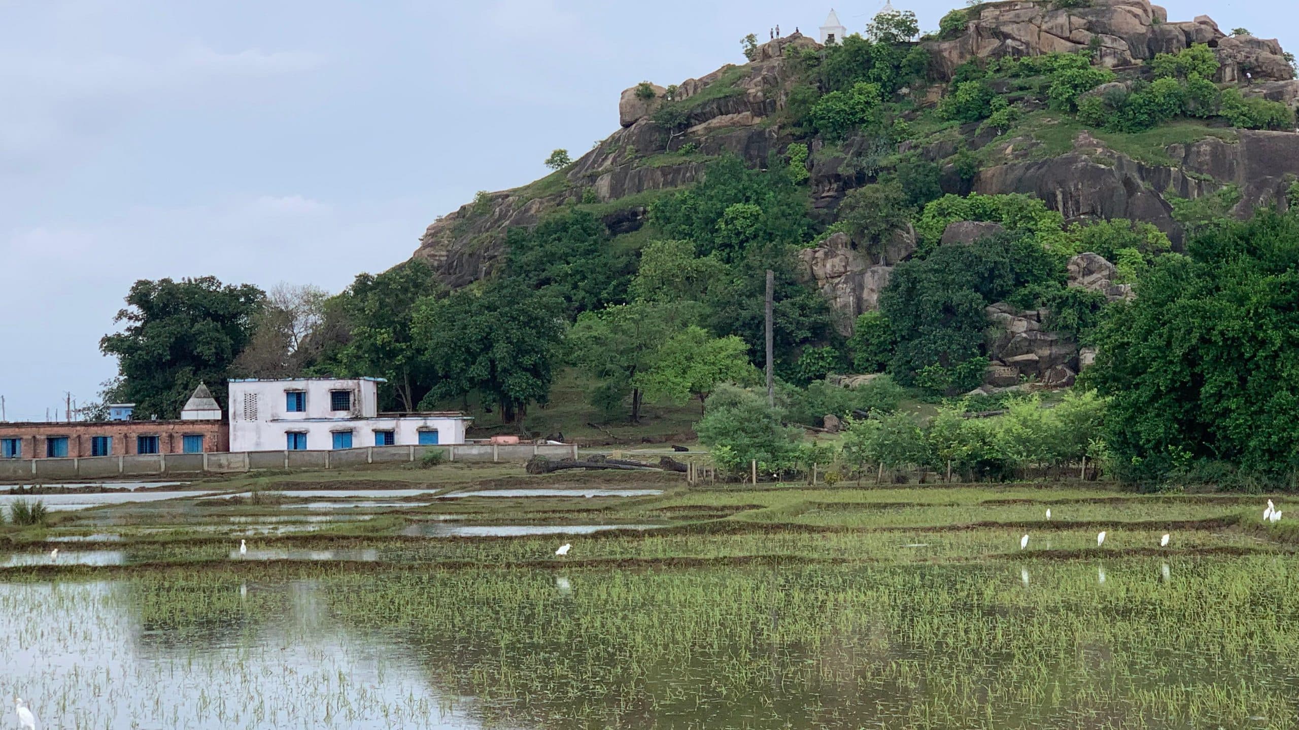 बाढ़ का पानी उतरने के फसलों के सड़ने से दुर्गंध, महामारी फैलने का भय