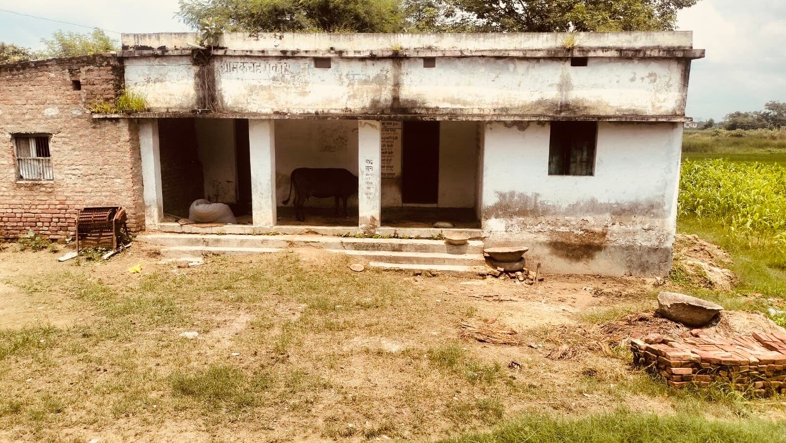 फुलवरिया में ग्राम कचहरी बना मवेशियों का अड्डा, देख-रेख करने वाला कोई नहीं
