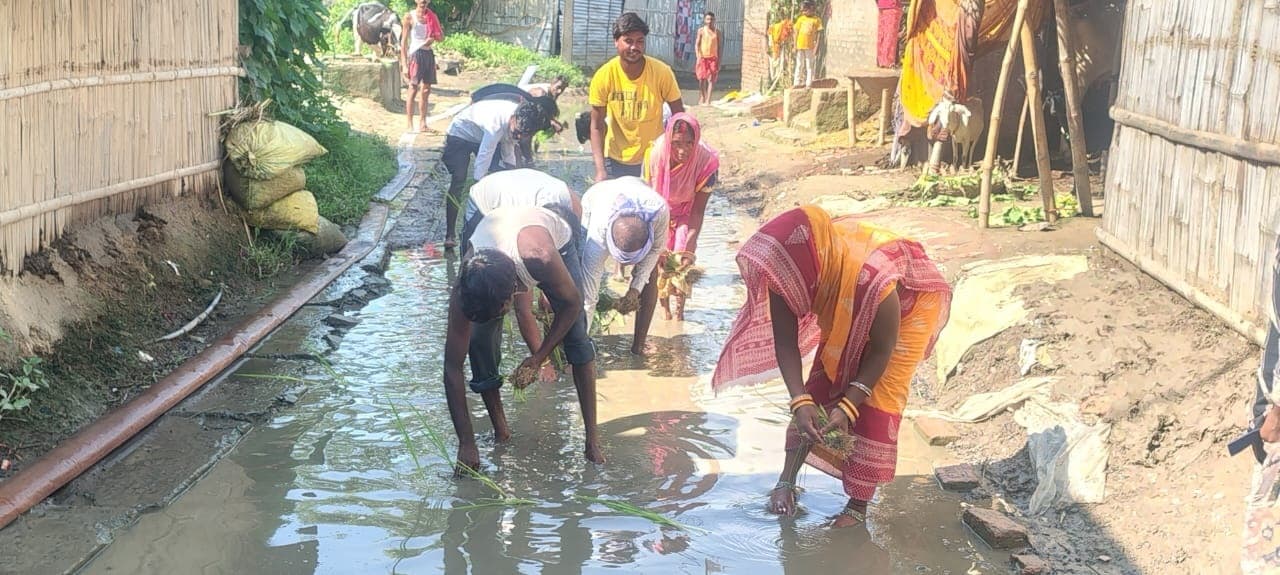 Motihari: जलजमाव से परेशान लोगों ने सड़क पर किया धान रोपनी