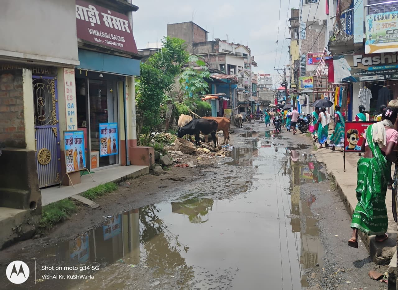 बरहरवा सब्जी मंडी रोड पैदल चलने लायक भी नहीं