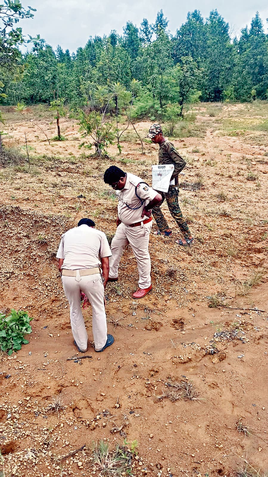 Jharsuguda News: लैयकरा ब्लॉक क्षेत्र में दिखे बाघ के पंजे के निशान, वन विभाग की टीम जांच में जुटी