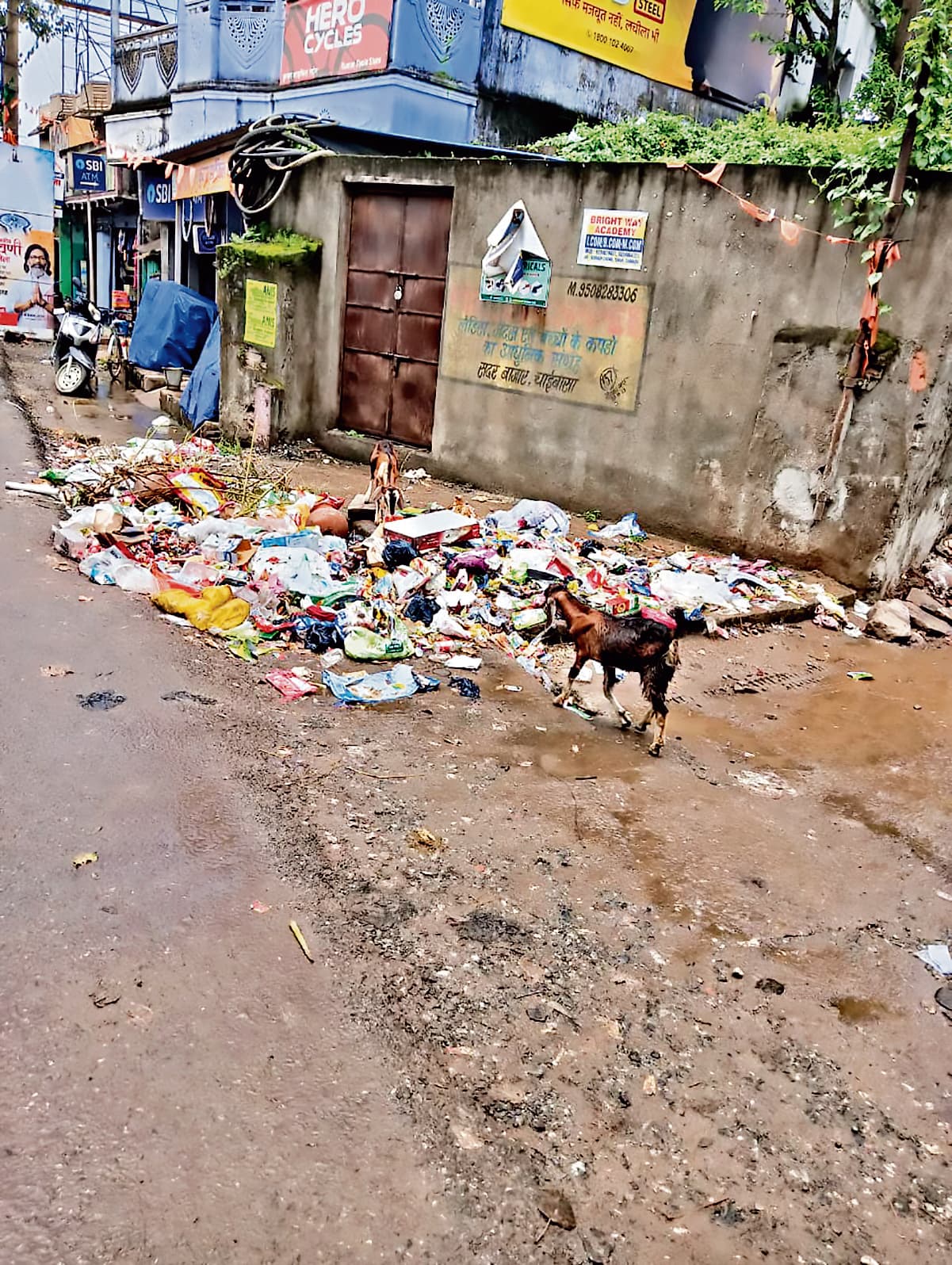 chaibasa news:  हर माह सफाई पर 10 लाख खर्च, फिर भी कचरे के ढेर से जूझ रहा शहर