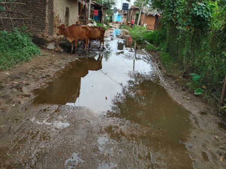 देवीपुर : ग्रामीणों ने की जर्जर सड़क मरम्मत कराने की मांग