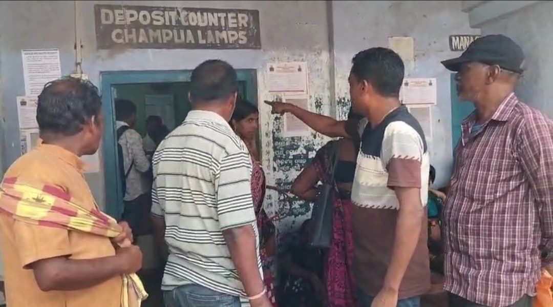 Chaibasa News : अत्यधिक बारिश ने छींटा की खेती चौपट की, रोपा विधि से बढ़ीं किसानों की उम्मीदें