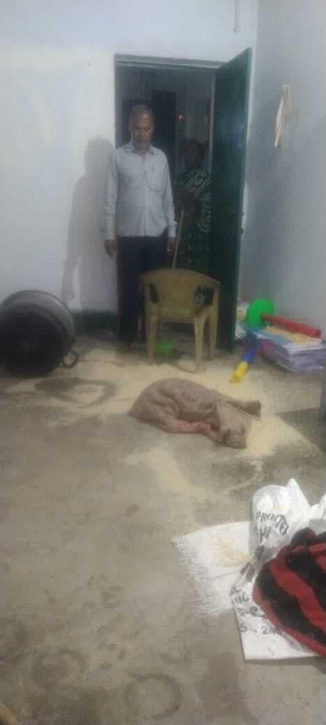 Giridih News: स्कूल का खिड़की-दरवाजा तोड़ एमडीएम का चावल चट कर गये हाथी