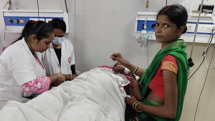 महिला को विषैले सांप ने डसा, हालत गंभीर