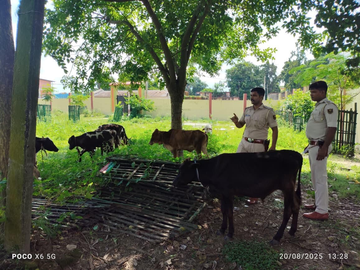 बजरंग दल  ने तीन मवेशी तस्कर को किया पुलिस के हवाले