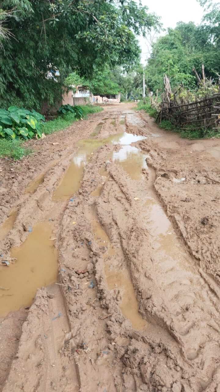 Giridih News: जरीडीह से लंगूरडीहा को जोड़नेवाली सड़क बदहाल, परेशानी