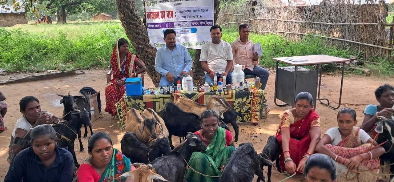 ग्रामीण आजीविका को सुदृढ़ करने में बकरी पालन की महत्वपूर्ण भूमिका