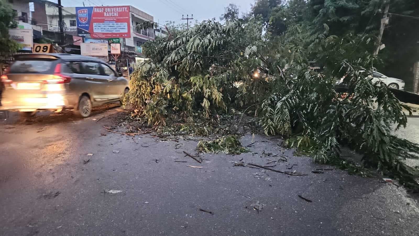 हादसे में बाइक सवार दो युवकों की मौत, युवती घायल