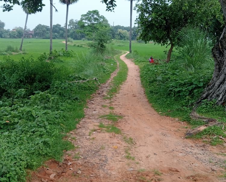 Aurangabad News : मंगर बिगहा में आज भी नहीं पहुंची पक्की सड़क