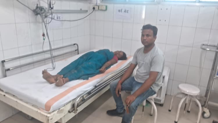 खेत में घास काट रही महिला को सांप ने काटा, इलाजरत