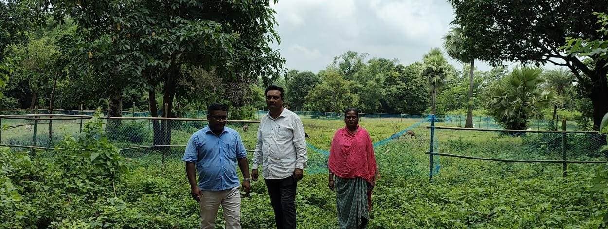 बीपीओ, एइ व जेइ ने पौधरोपण स्थल का किया निरीक्षण