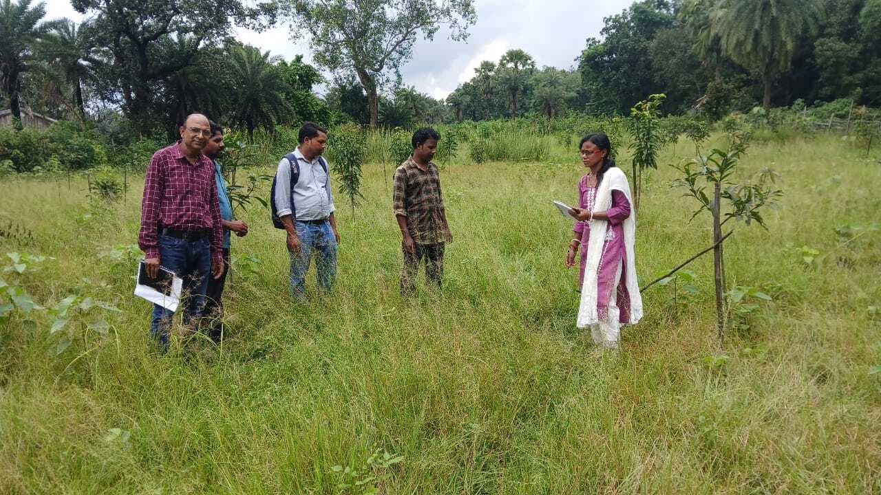 कूप निर्माण व पौधरोपण का एपीओ ने किया निरीक्षण