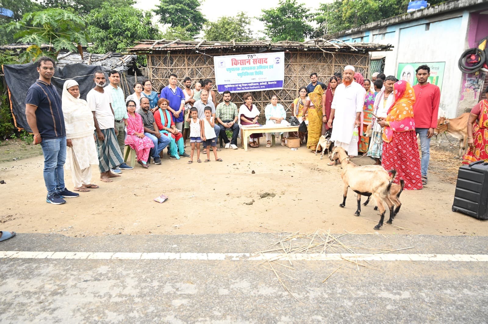 पशु चिकित्सा शिविर में 493 पशुओं का हुआ इलाज