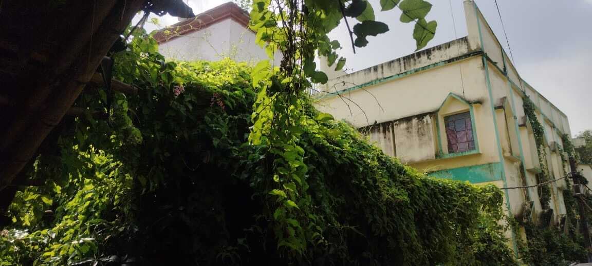 Giridih News :झाड़ियों से ढका सर जेसी बोस संग्रहालय का परिसर