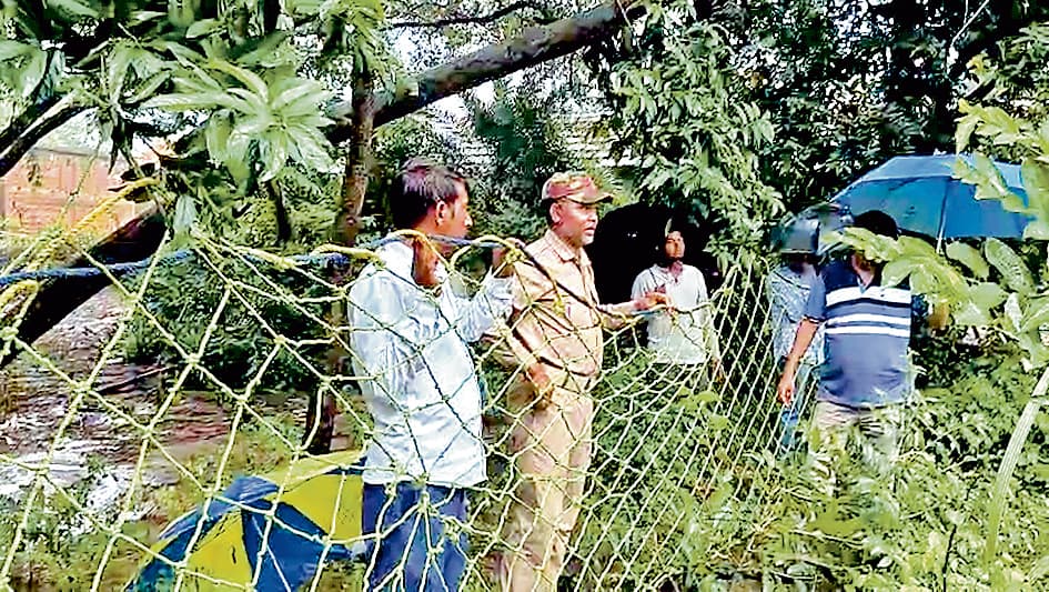 पुरुलिया: लोमड़ी के काटने से नौ घायल, गांव के लोगों में दहशत