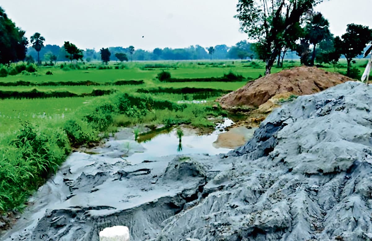 Jharsuguda News: झारसुगुड़ा, किरमिरा व कोलाबीरा ब्लॉक में 145 हेक्टेयर कृषि भूमि बर्बाद, नहीं मिला मुआवजा