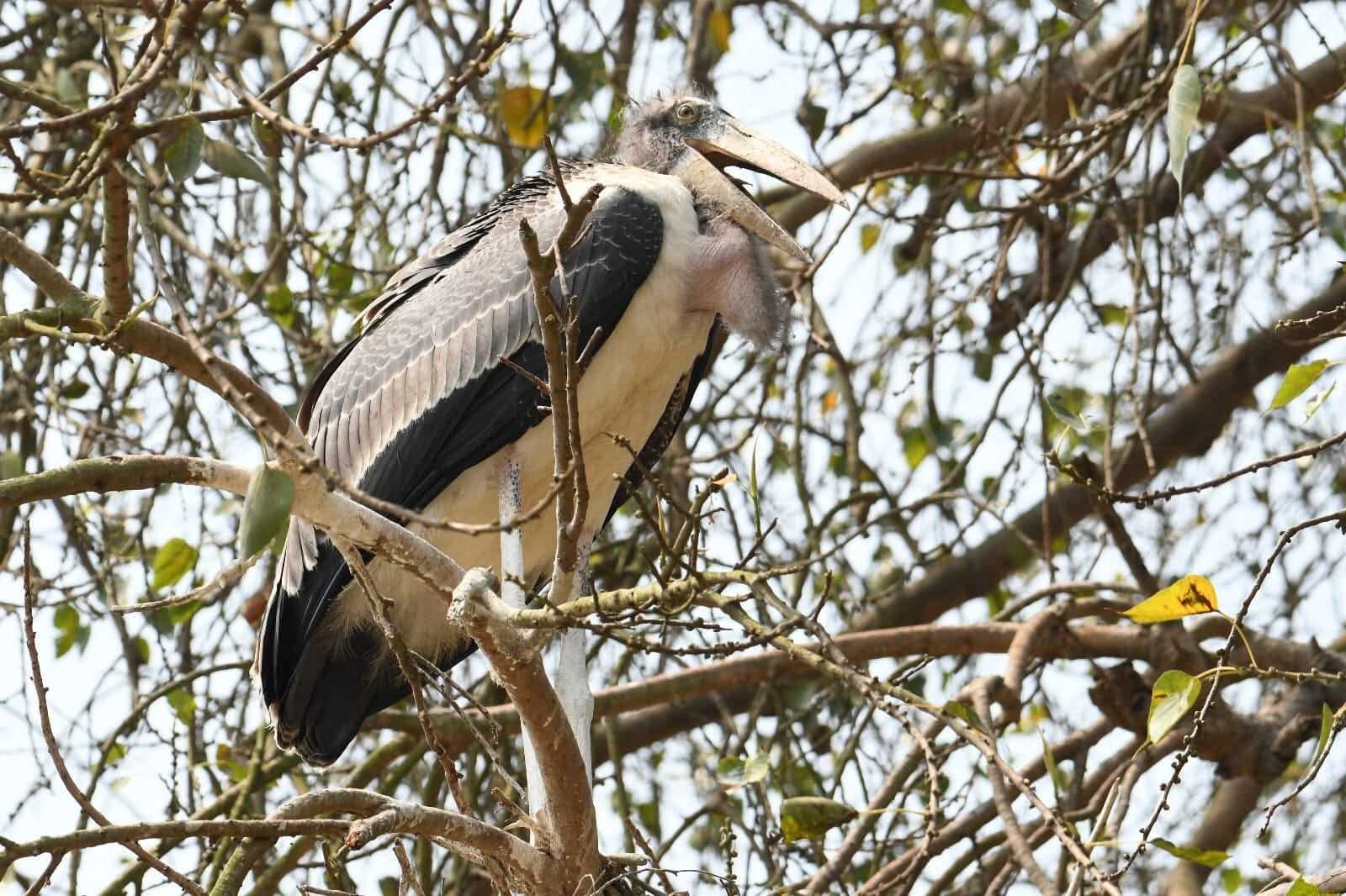 Bhagalpur news कदवा दियारा को पर्यटन स्थल बनाने की दिशा में बढ़ा एक कदम