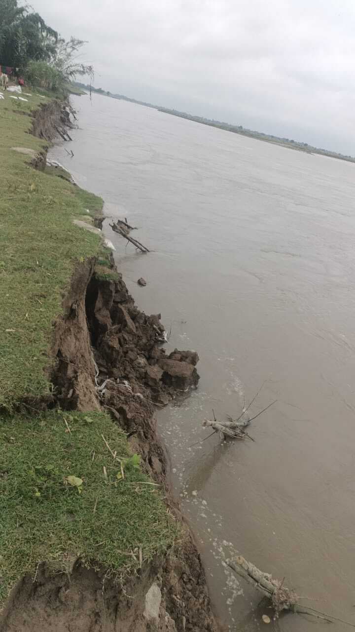 पीपल टोला में महानंदा नदी से हो रहा कटाव