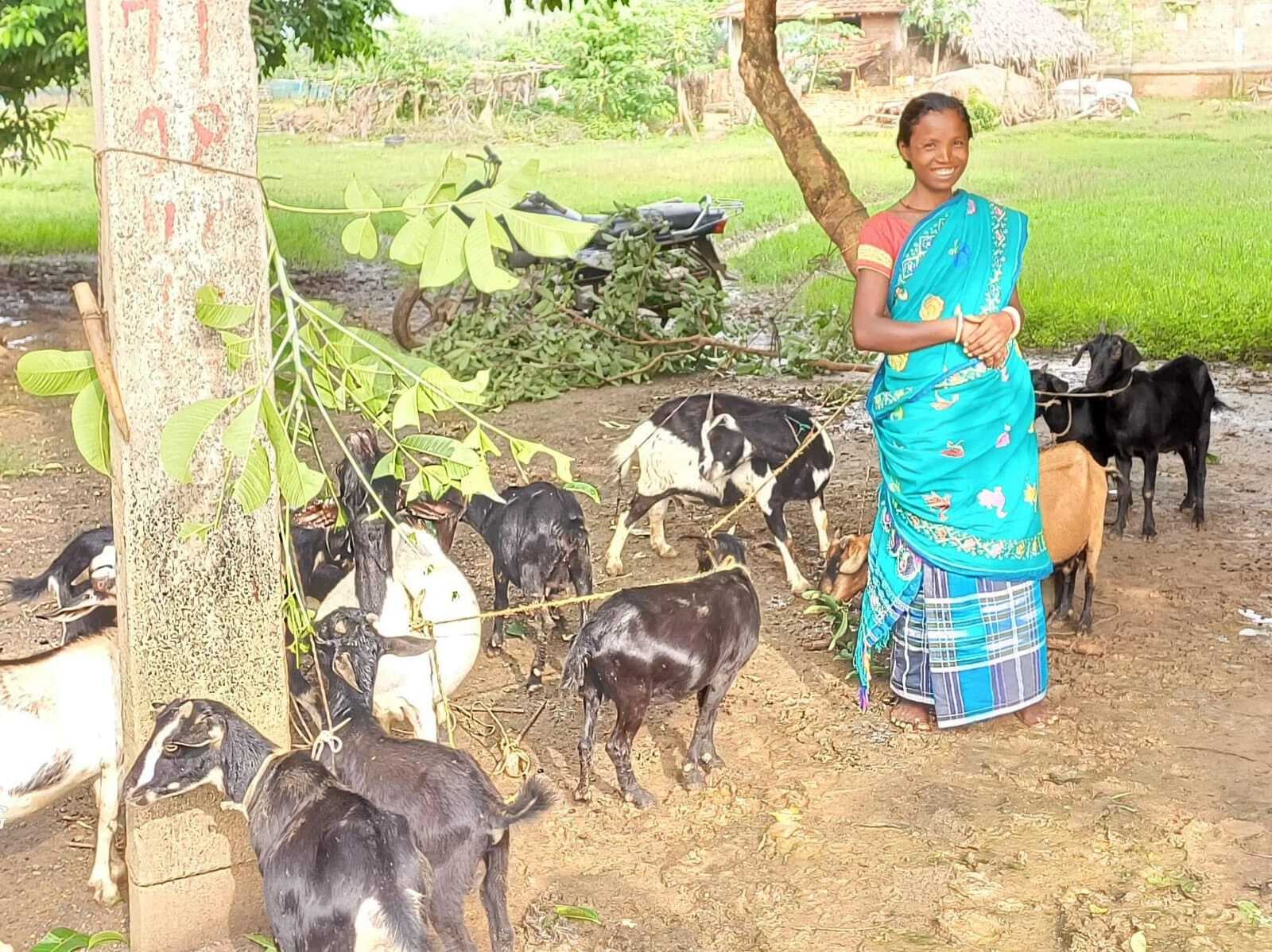 पशुपालन से किया अपनी आमदनी में इजाफा, बनी परिवार का मजबूत सहारा