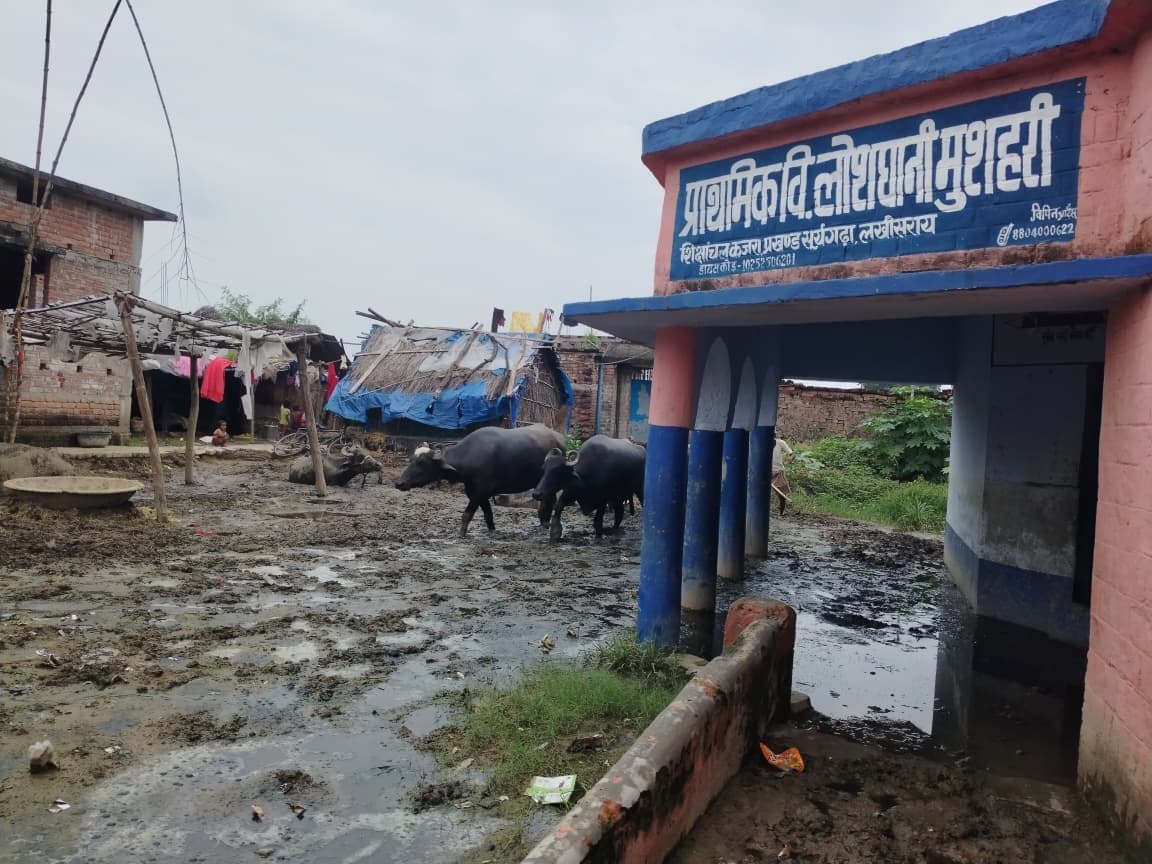 प्राथमिक विद्यालय लोशघानी मुसहरी बना तबेला