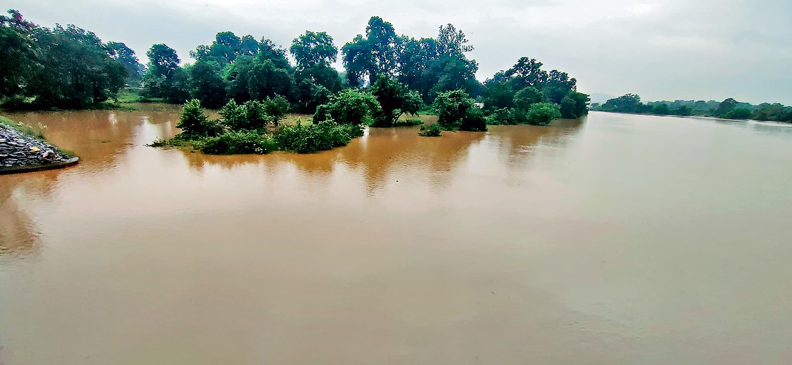 Rourkela News: मिटकुंदरी में देव नदी का जलस्तर बढ़ा, खेतों में घुसा पानी, धान की फसल को नुकसान