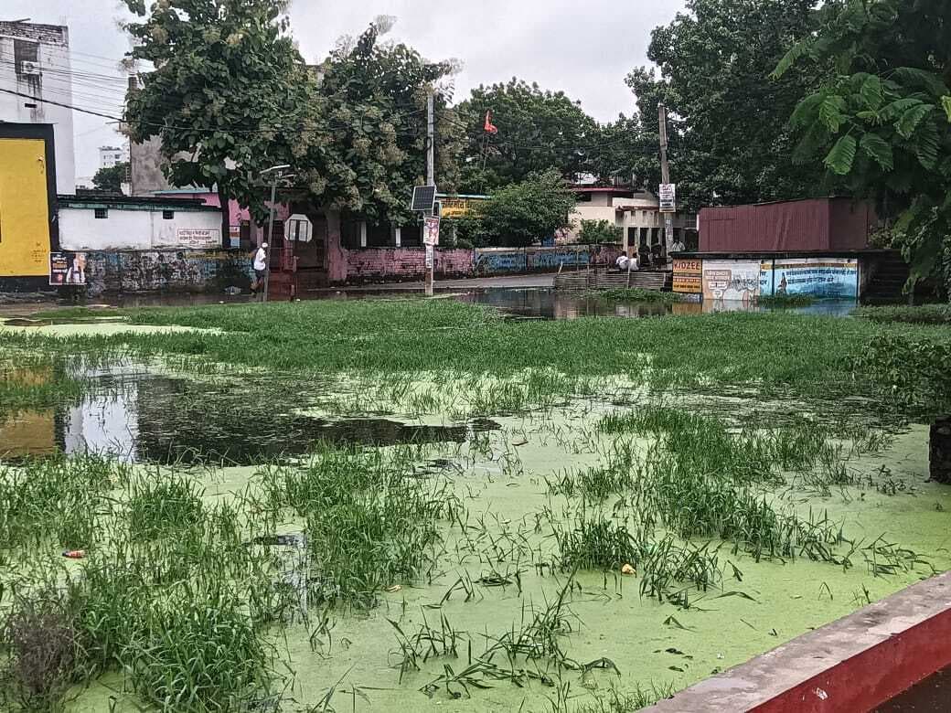 बारिश से नगर के सड़कों व स्कूलों में जल जमाव