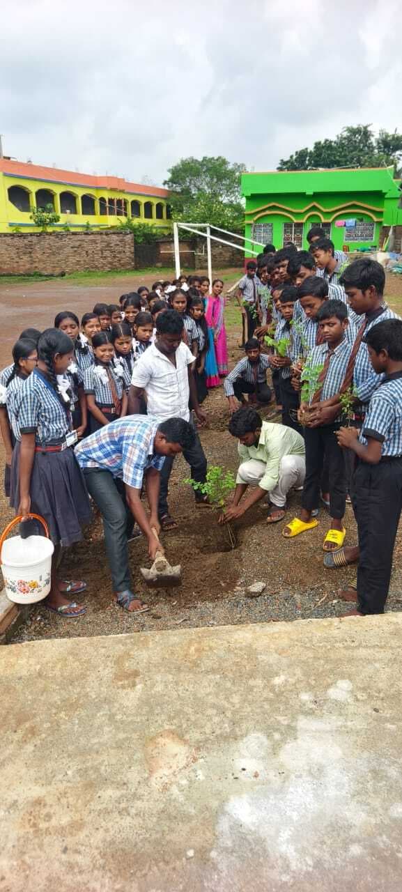 एसएमएस मिडिल स्कूल में किया गया पौधरोपण