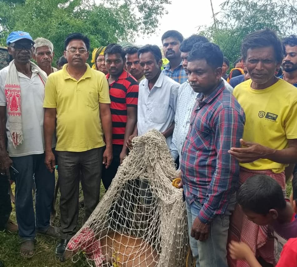 Bokaro News : कसमार : कुएं में गिरा हिरण, ग्रामीणों व वन विभाग ने बचायी जान