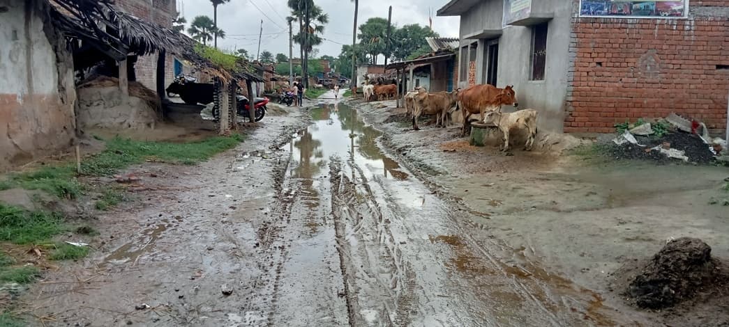 बभनिया गांव आज भी विकास से वंचित, बारिश में कीचड़ बना मुसीबत