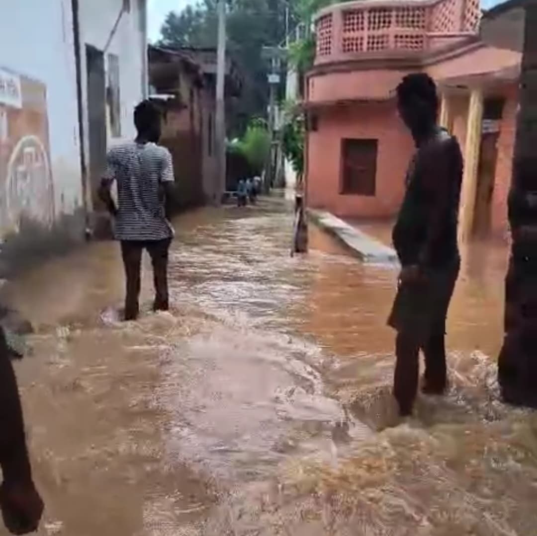 फतुहा प्रखंड की कई पंचायतों के गांवों में आयी बाढ़, फसल बर्बाद