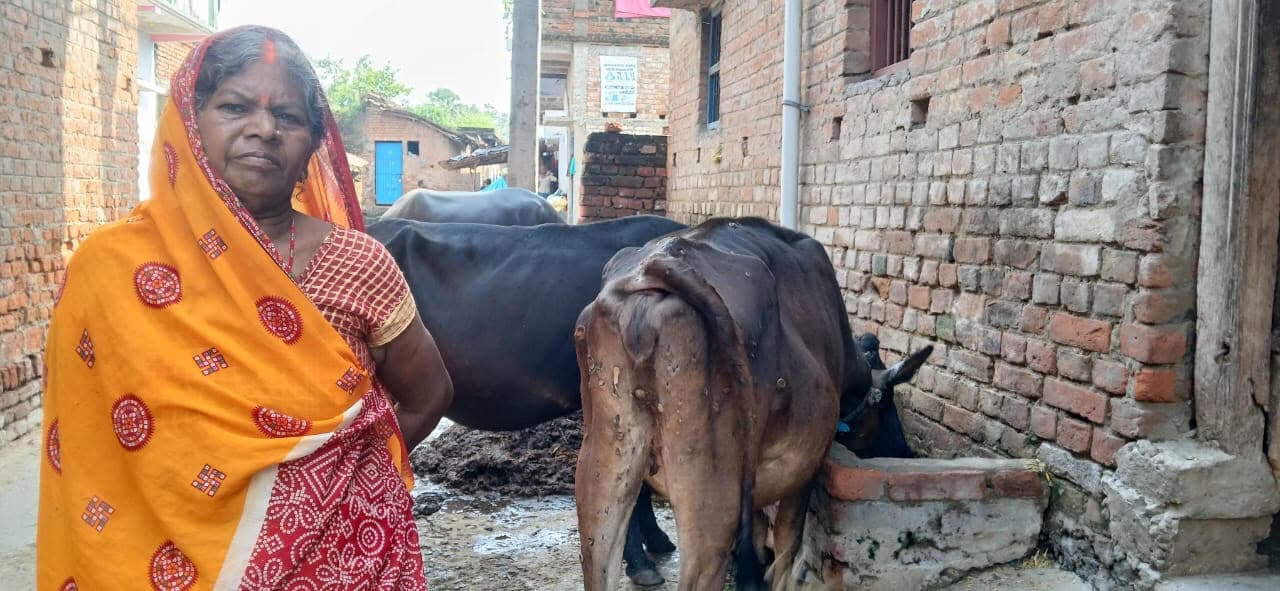 पशुओं पर कहर बनकर टूट रही लंपी बीमारी, टीकाकरण में लापरवाही का आरोप