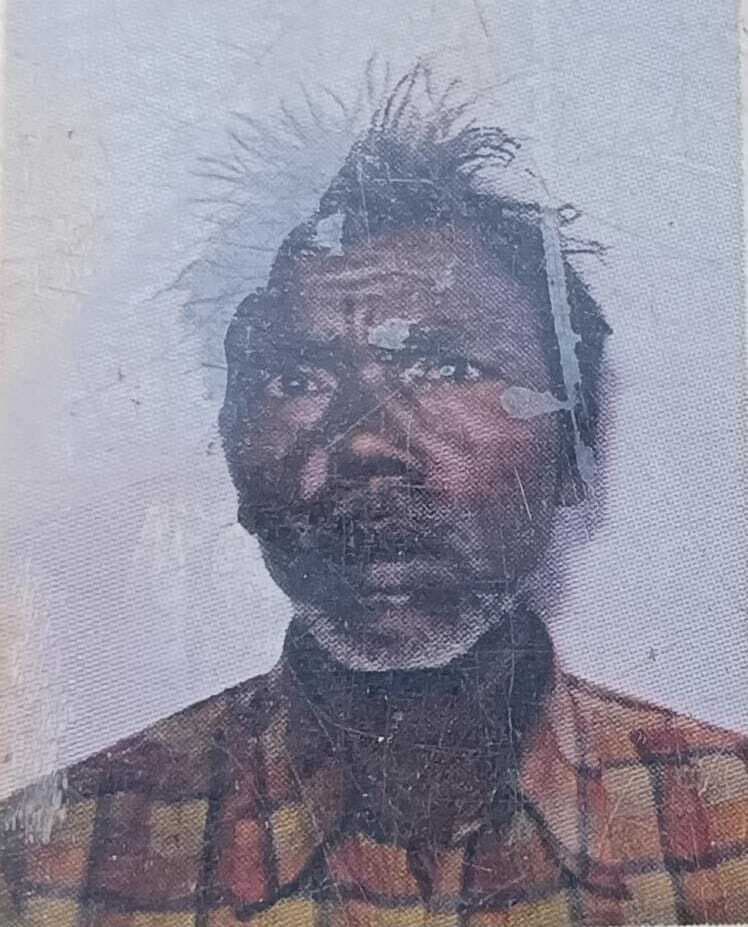 जलावन काटने के दौरान पेड़ से गिरने से बुजुर्ग की मौत