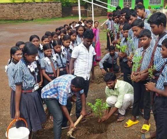एसएमएस मवि पत्थरडांगा में विद्यार्थियों ने किया पौधरोपण