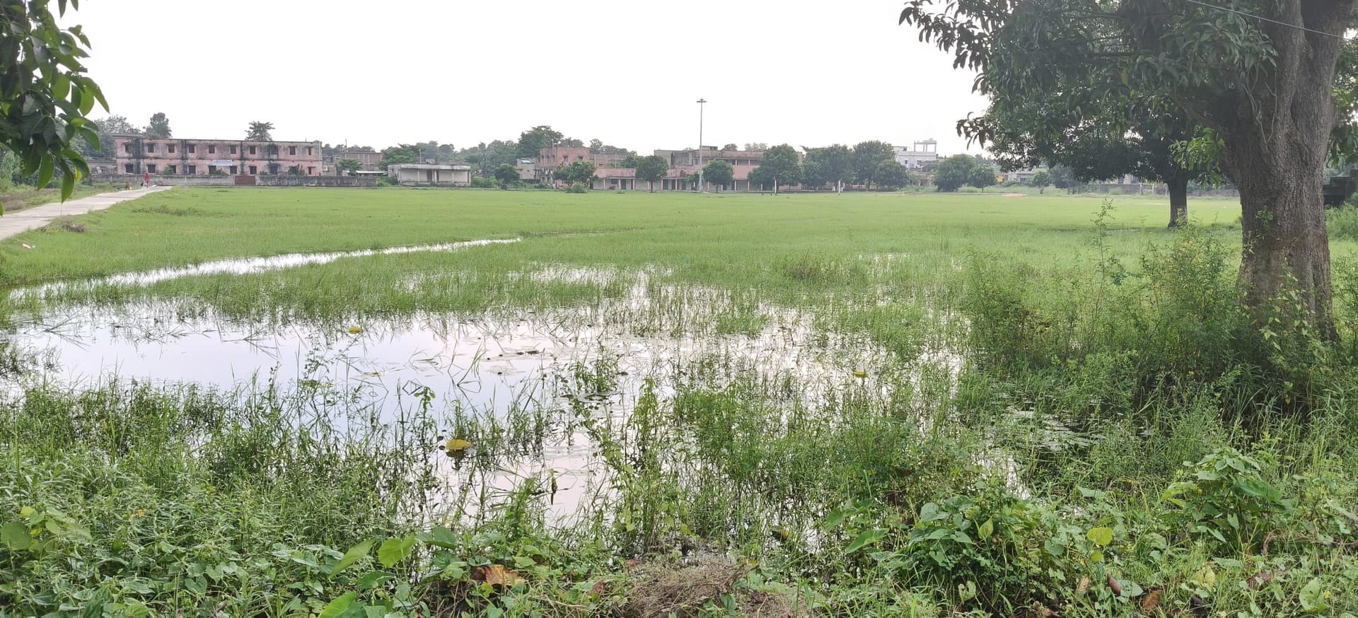 हरि प्रसाद साह महाविद्यालय मैदान में जलजमाव, छात्रों की पढ़ाई व खेलकूद प्रभावित