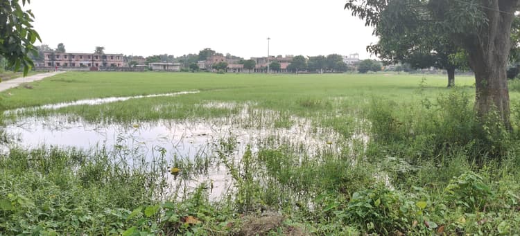 हरि प्रसाद साह महाविद्यालय मैदान में जलजमाव, छात्रों की पढ़ाई व खेलकूद प्रभावित