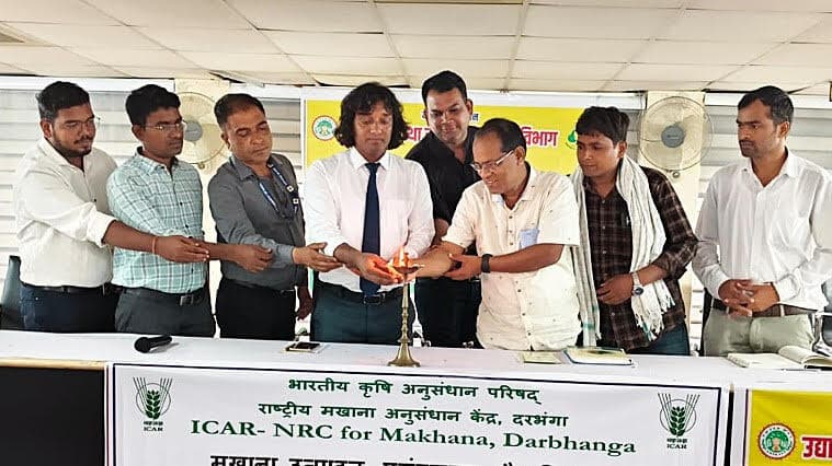 Darbhanga News: अगले दस साल में चार लाख हेक्टेयर तक फैल जायेगी मखाना की खेती