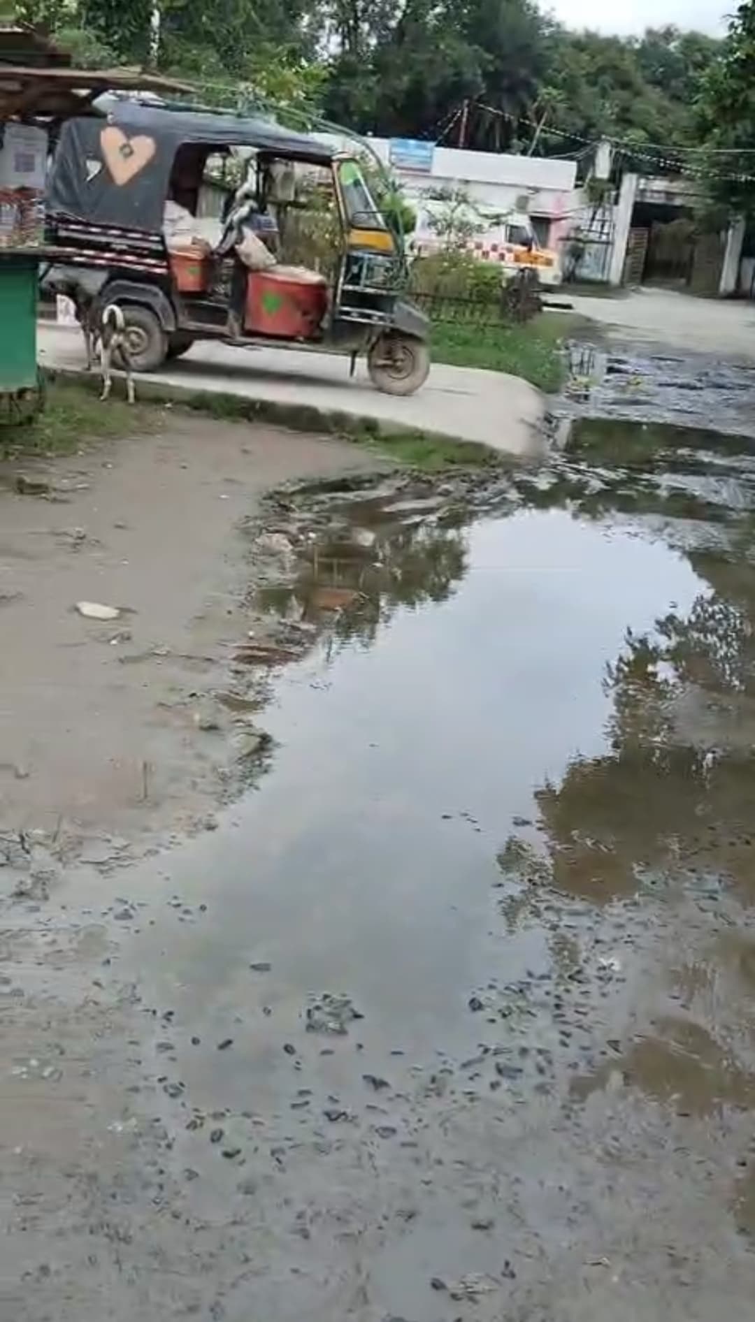 अस्पताल के बेड में कुत्ता सोने की शिकायत