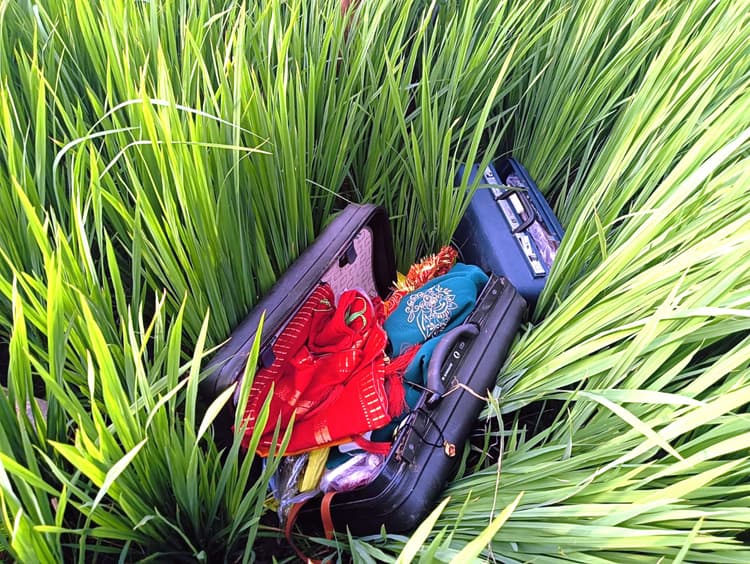 सरफरा तिवारी टोला में खिड़की को तोड़कर चोरों ने 10 लाख की संपत्ति की कर ली चोरी