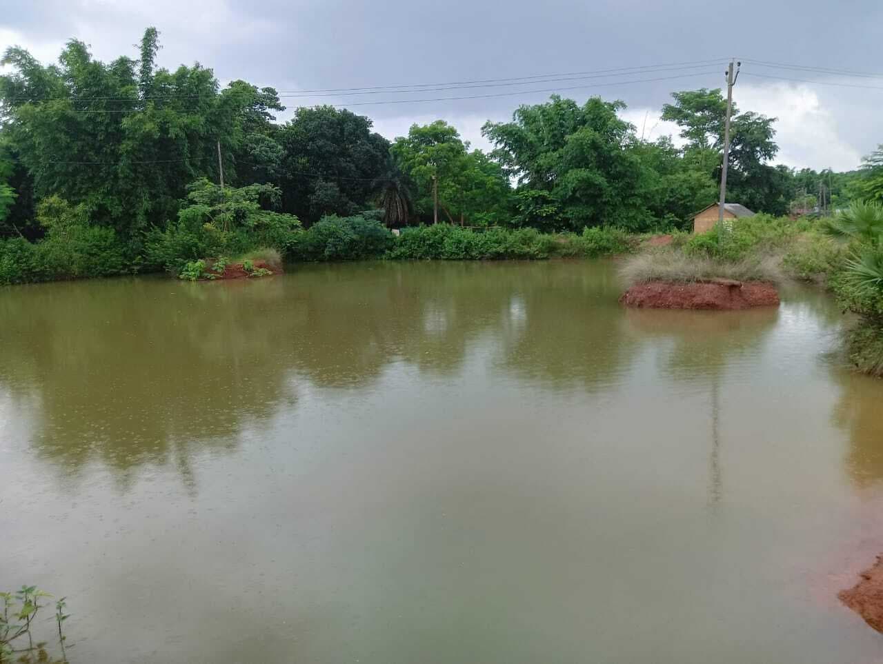 East Singhbhum News : डोमरो गांव में तालाब के बीच लगे हैं बिजली के खंभे, झूल रहे तार