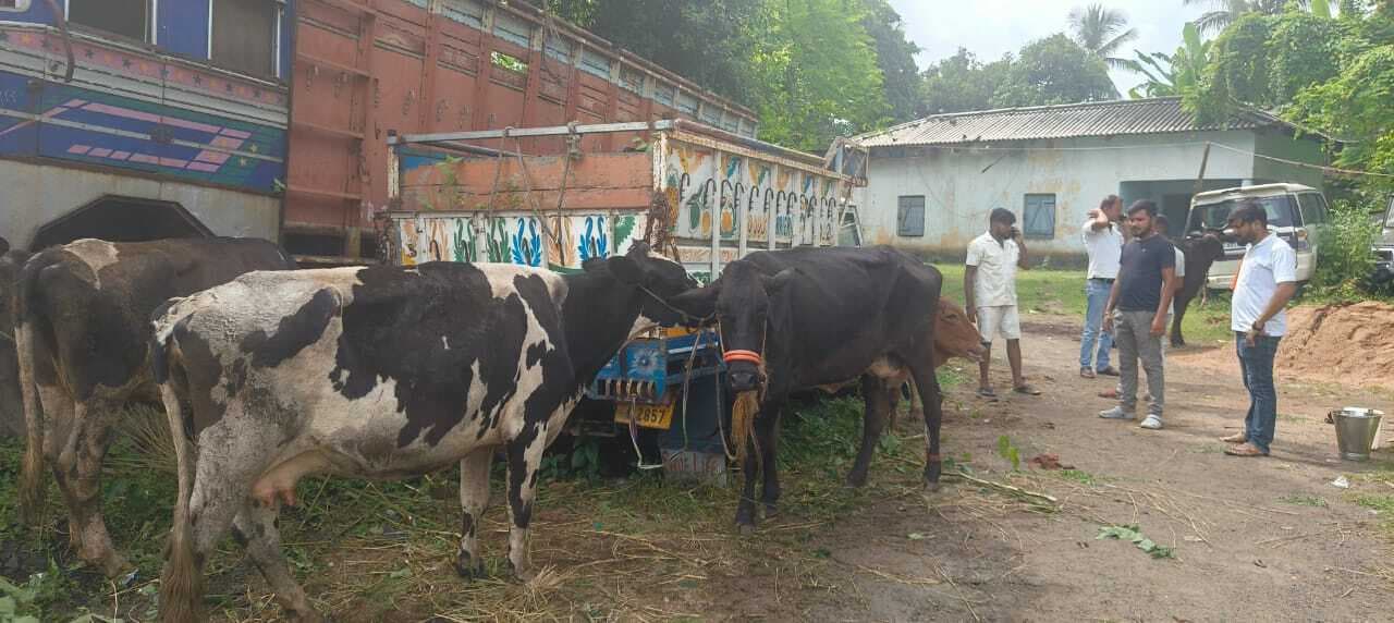 राम सेवा दल की सूचना पर पशु लदी वैन जब्त, मालिक-चालक पर प्राथमिकी